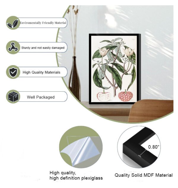 12 x 18 frame template on wall with info Strawberry fruited Benthamia