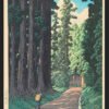 Kawase Hasui Nikko gaido (The Road to Nikko) (1930)